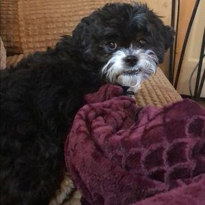 Meet your Posher, Beverley